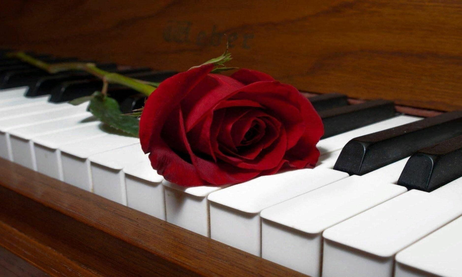 Не жди меня