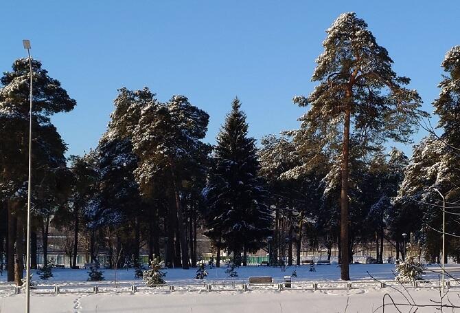 Спит природа