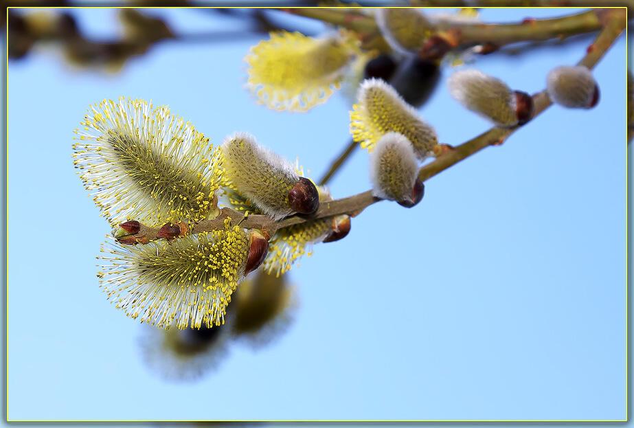 Заметно посвежело всё вокруг