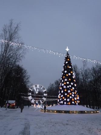 Греют ели лапы перед Новым годом