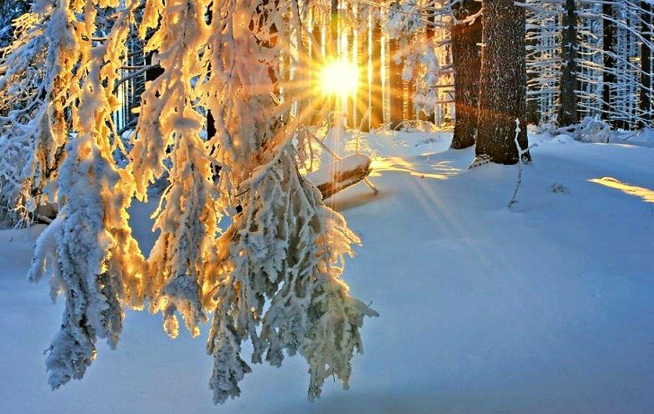 Ответ поэту - Киреев Леонид - ОТТЕПЕЛЬ