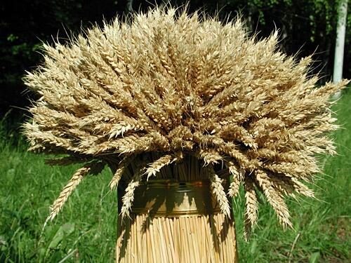 Сноп мыслей - 3