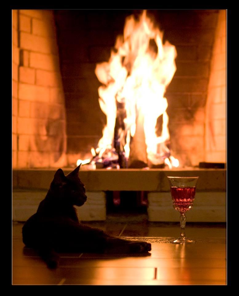 Поэзия - свет и тепло!