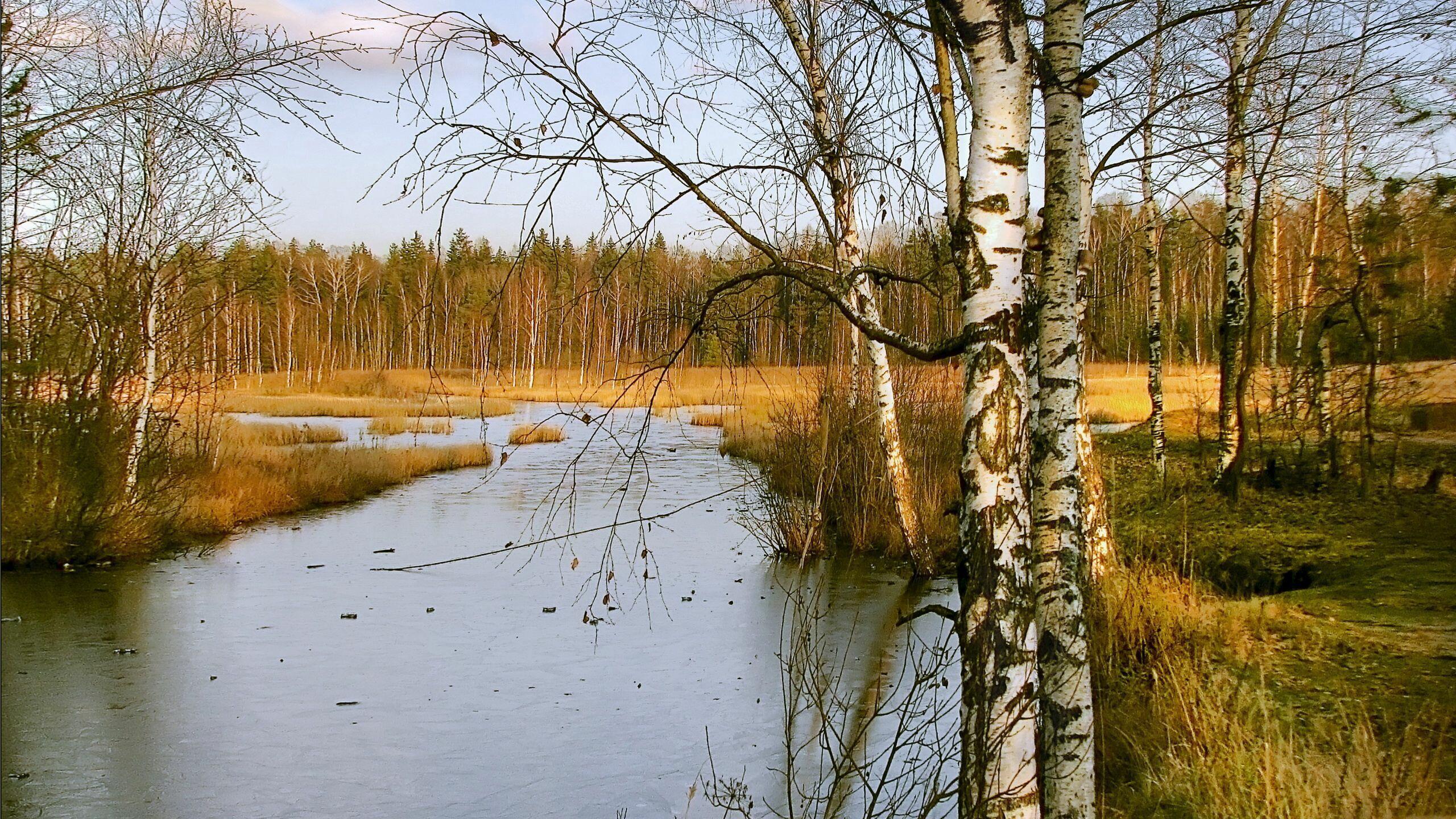 РЕКОЙ   ОТКРОВЕНИЙ