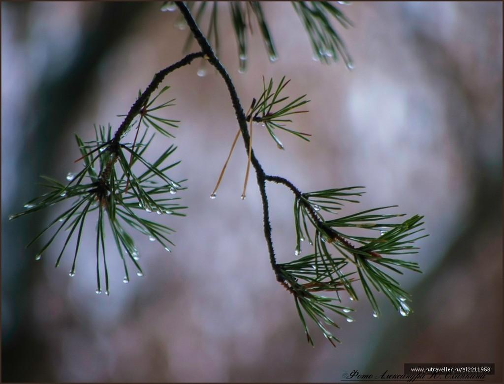 ЗИМА, КАК ЖЕНЩИНА.
