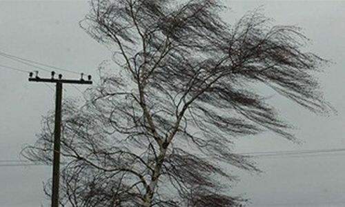 С НИМ ВЕСЕЛЕЙ