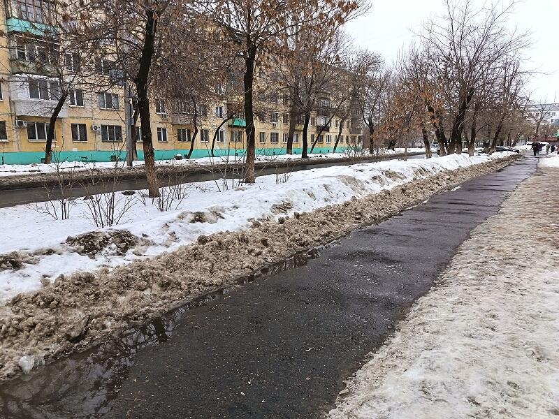 Фальшивая весна