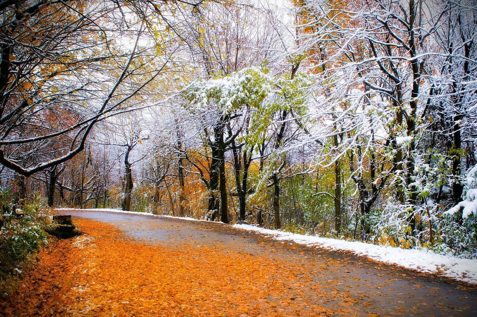 Вернись ко мне.