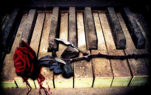 Ты не дари мне больше трупов