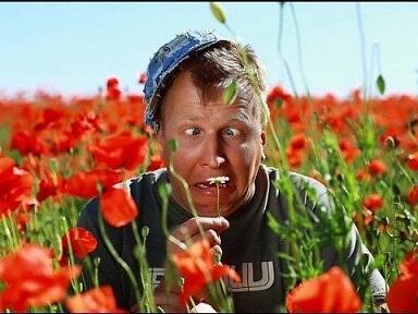 Подвела наружность