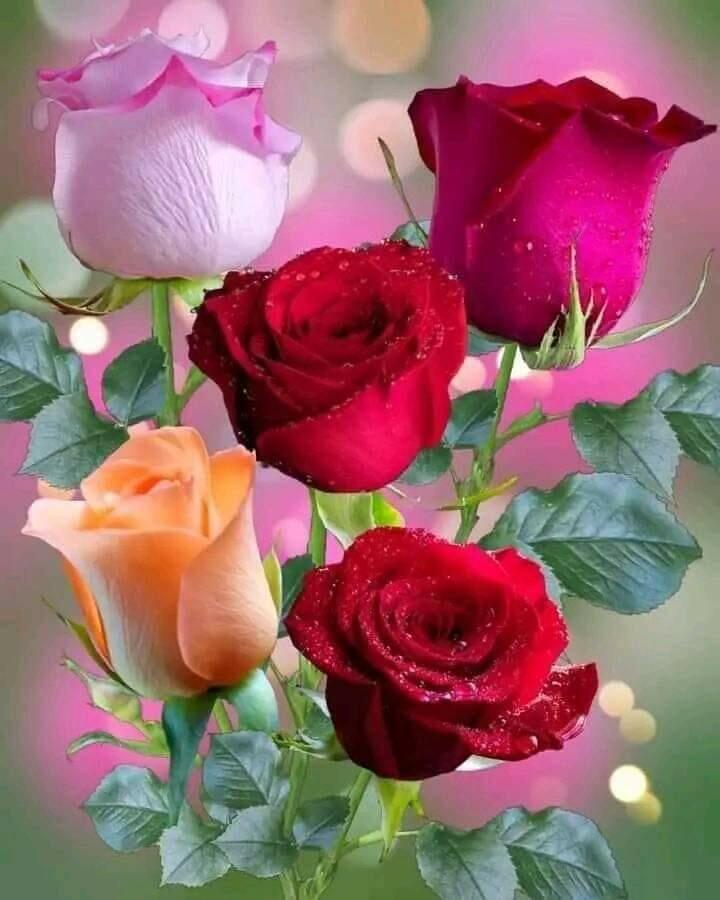 День святого Валентина. Послевкусие