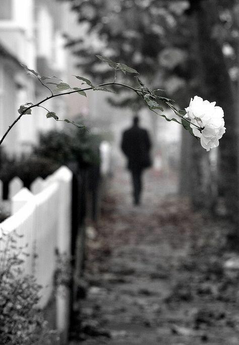 В садах осенних ...