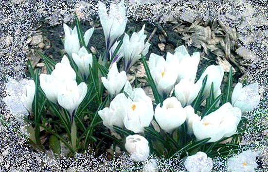 Весенний день.