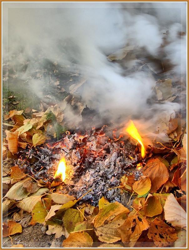 Осень, листья сгорают в кострах