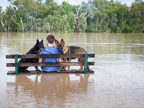 УЗНАЕШЬ ИХ (валик)