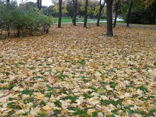 Я ТЕБЯ ОЖИДАЮ…