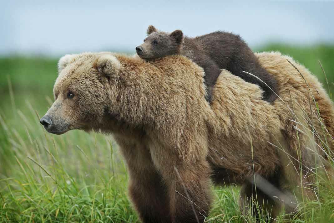 Мамина радость