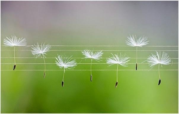 Пишу в блокнот...