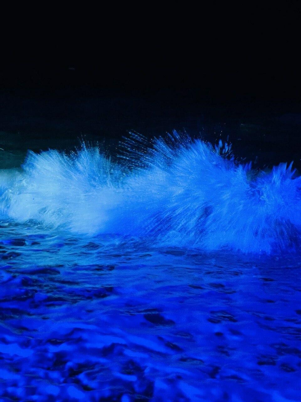 Любовь, предательство, прощенье