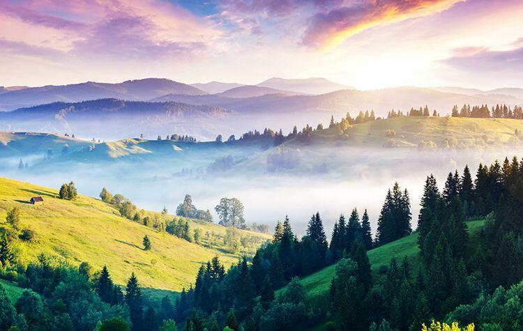 Тут навіть камінь має вуха...