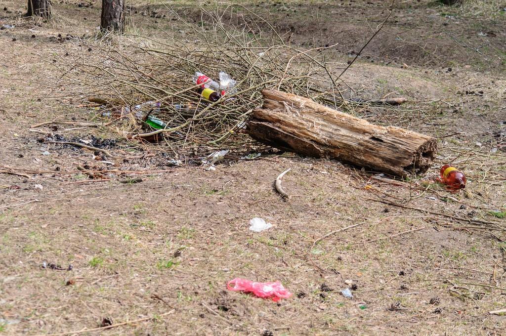 Любителям пикников посвящается...