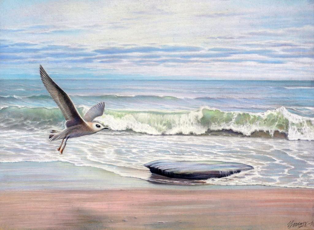 Белой чайкой