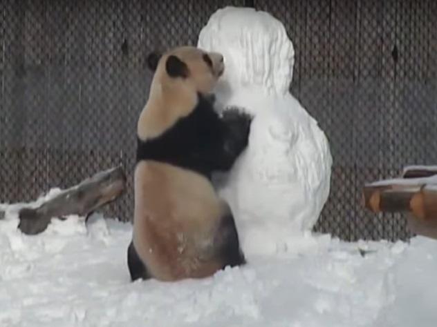 Храбрый Да Мао.