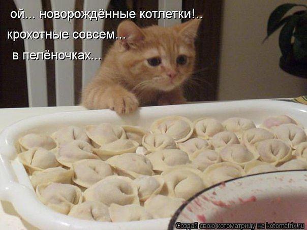 Усатый нянь (котоматрицы)