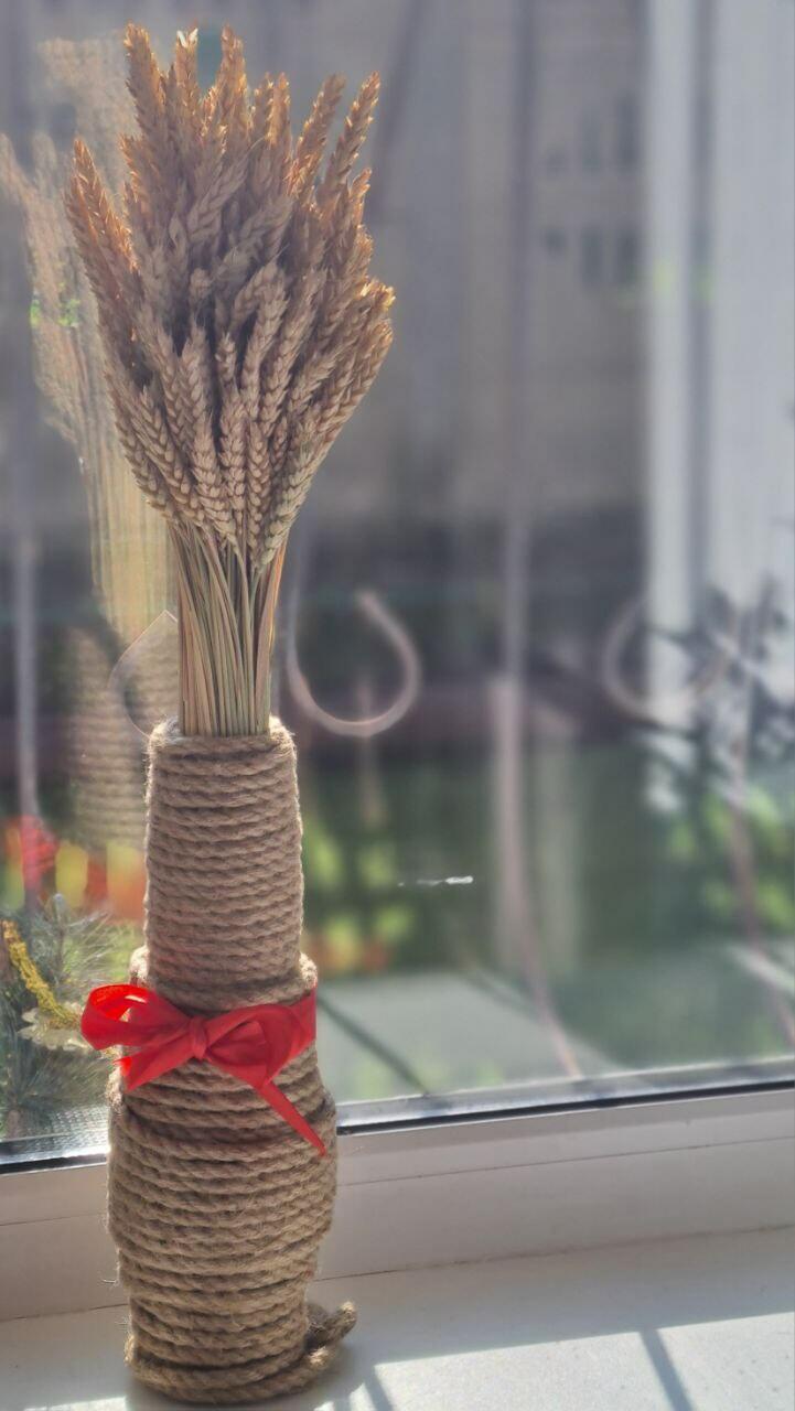 ЗОЛОТАЯ ПШЕНИЦА