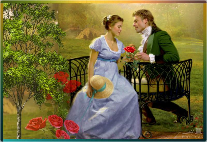 Роза с шипами