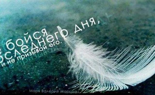 О смысле жизни