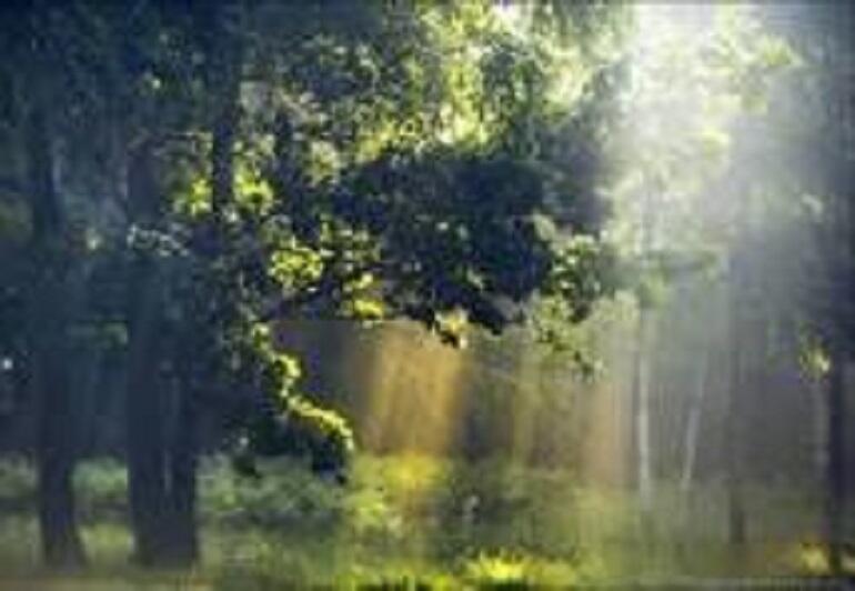 РОДНАЯ ПРИРОДА_3