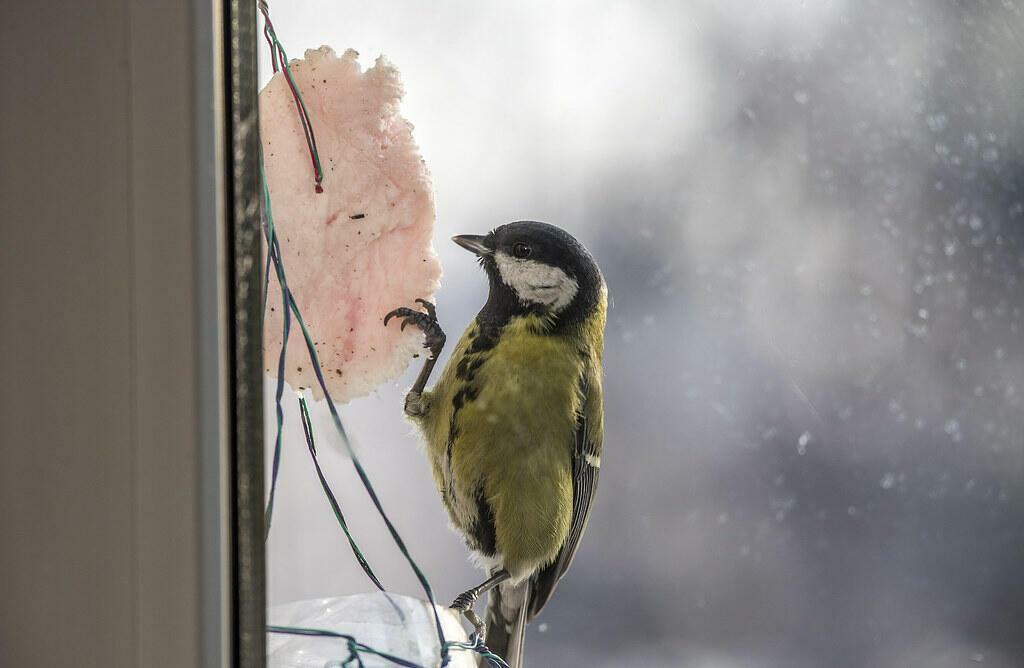 Не торопитесь унывать...