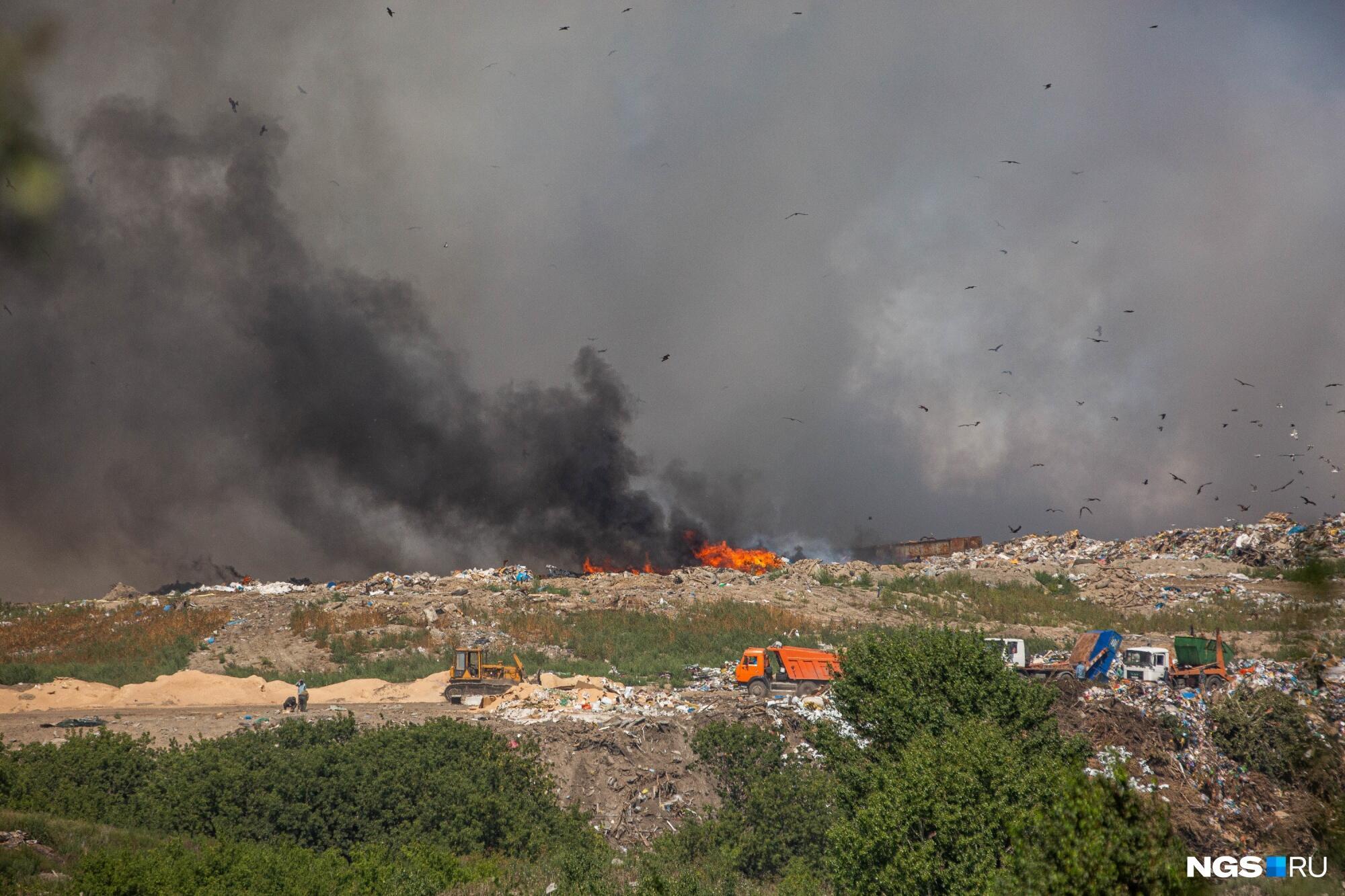 Не свинячьте и не жгите 