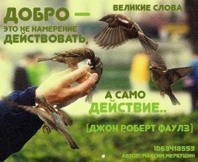 Мысли скакуны от 15. 08. 2015