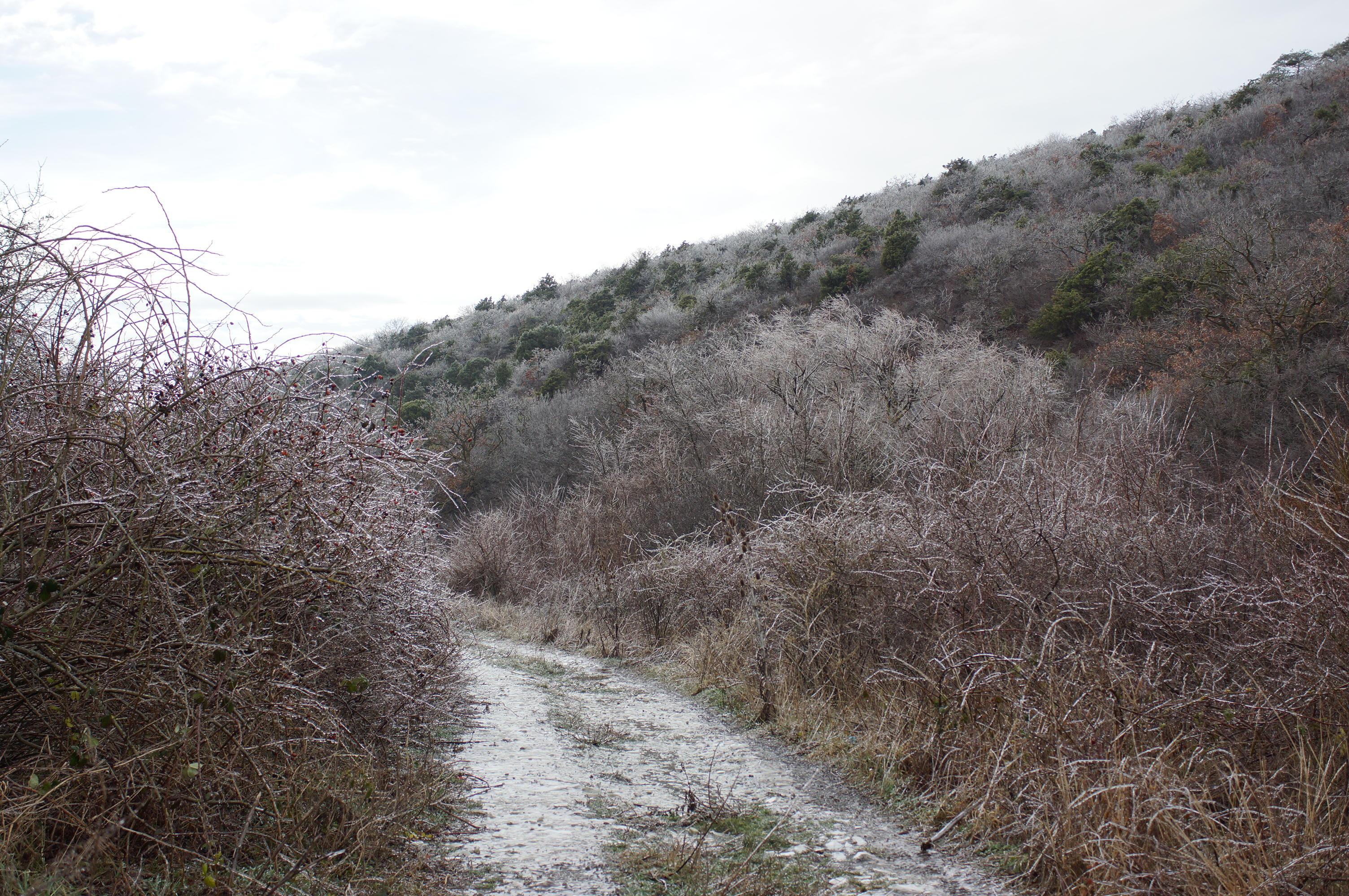 Четвёртый вектор