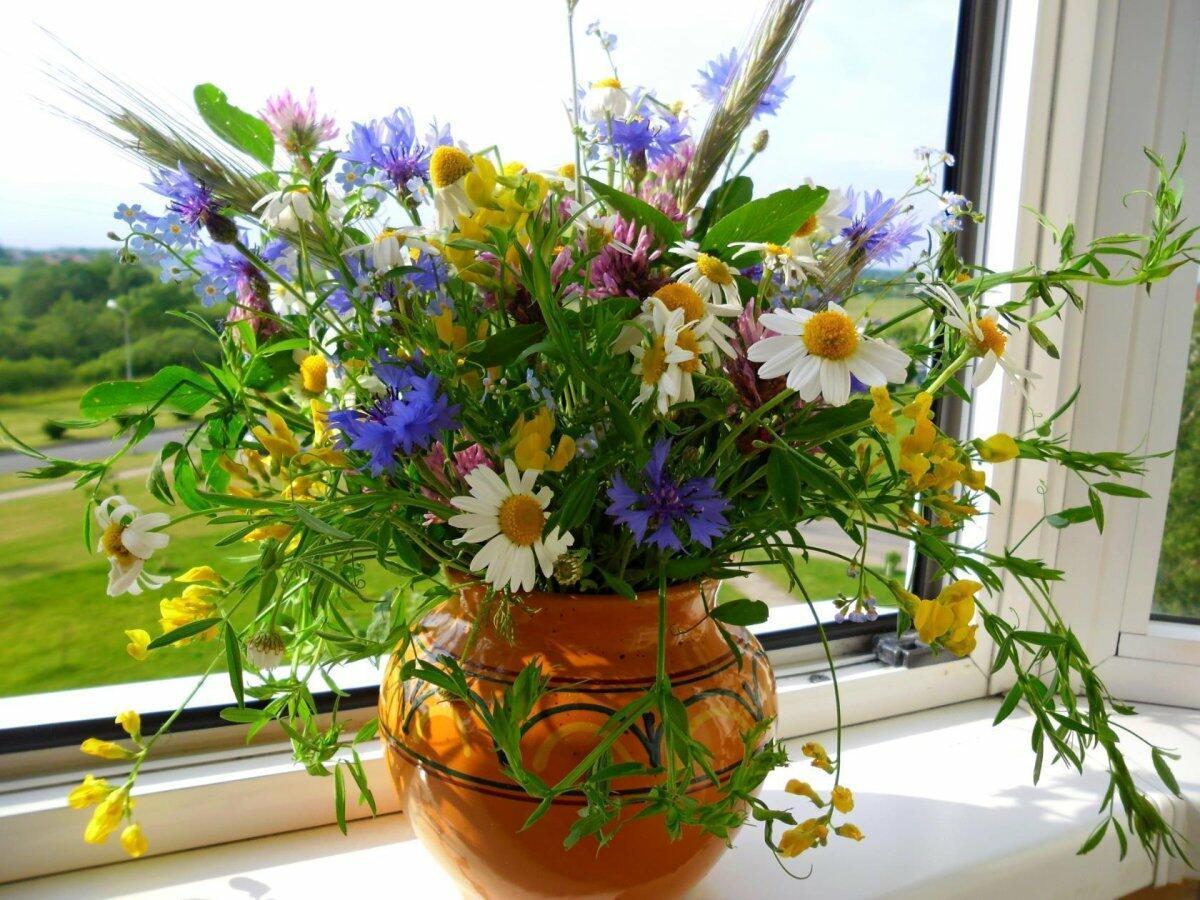 БУКЕТ  ПОЛЕВЫХ  ЦВЕТОВ