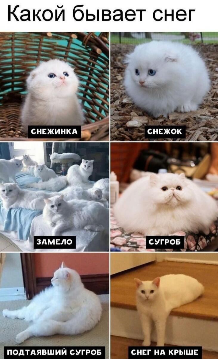 Белое покрывало