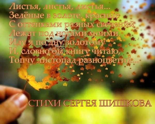 ЛИСТЬЯ, ЛИСТЬЯ...