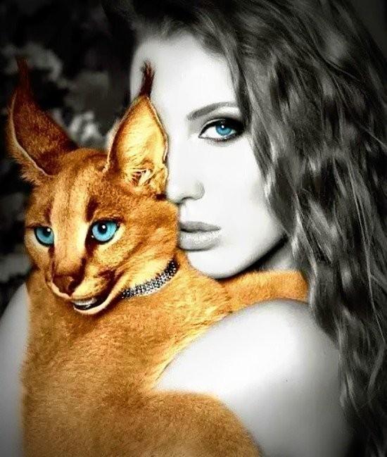 Итог любовного романа