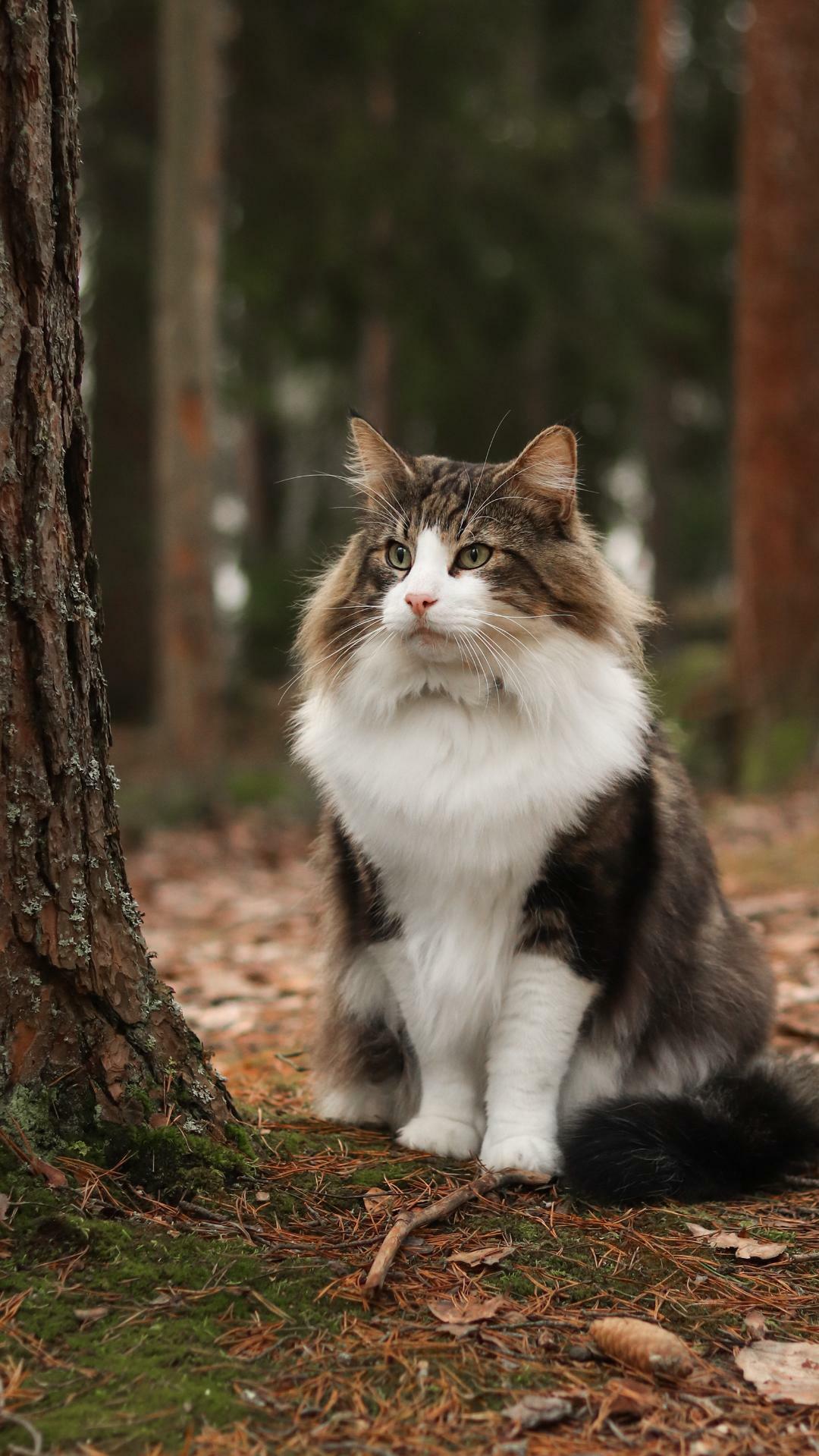 ВЕСЕННЕЕ АПРЕЛЬСКОЕ АБ.