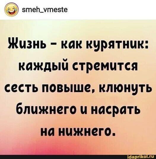 Змея