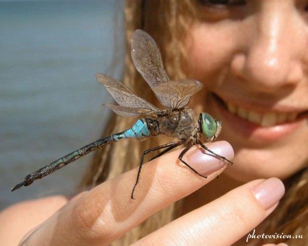 С Т Р Е К О З А