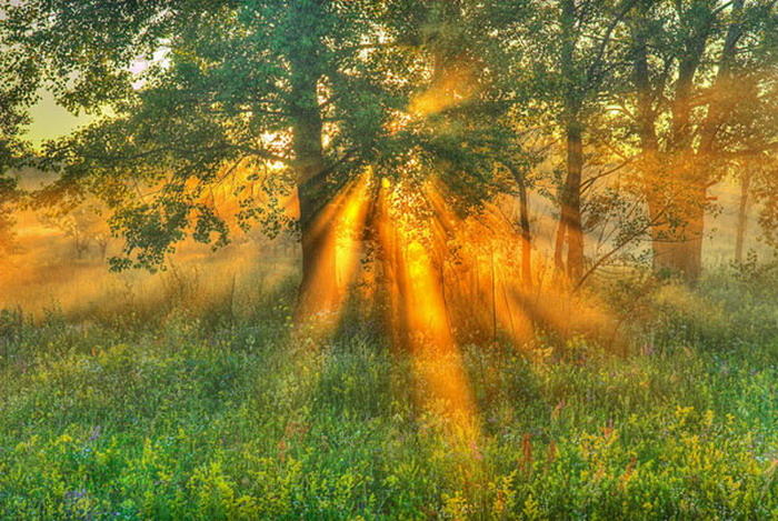 Солнце любимое...