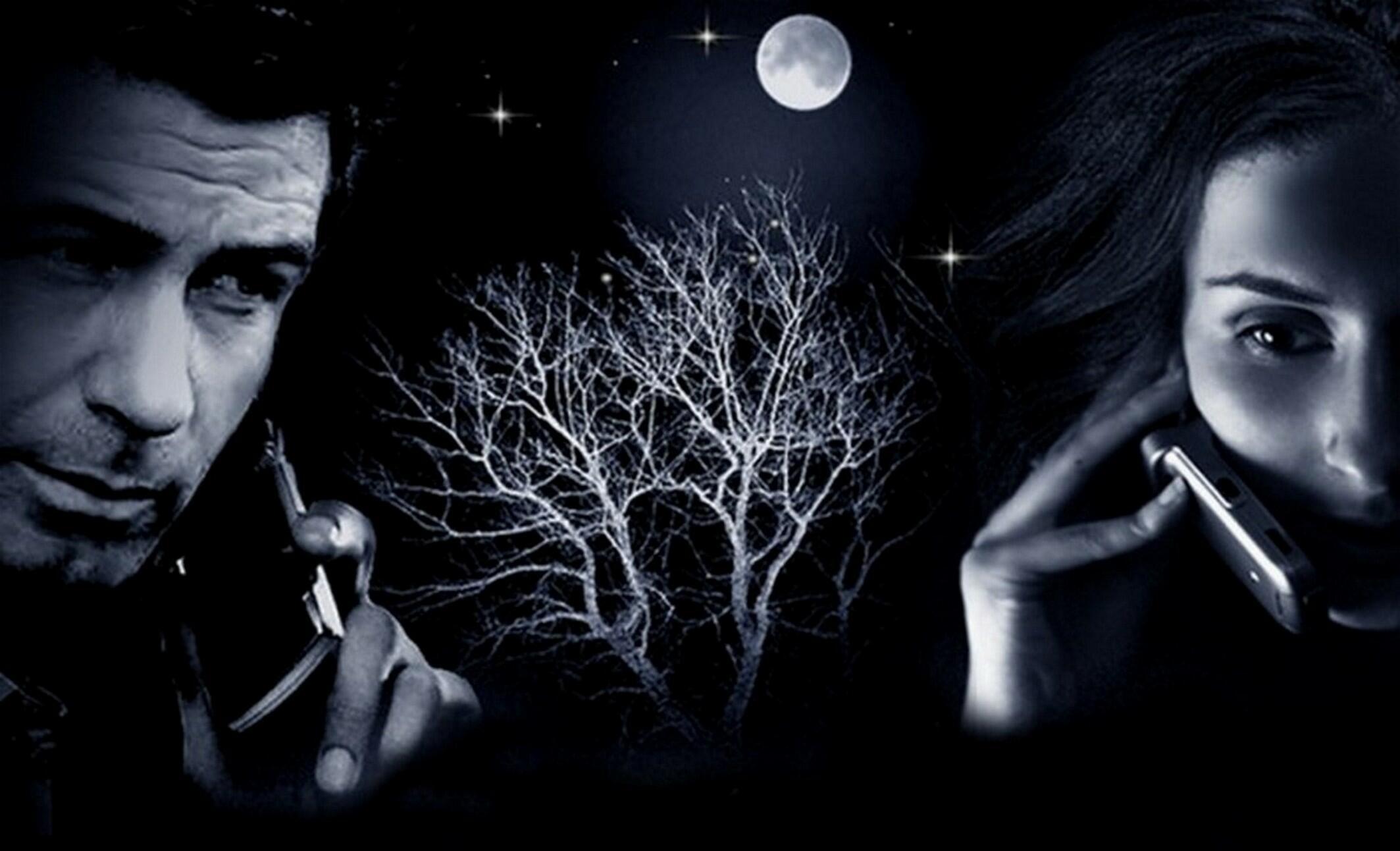 Ночной разговор