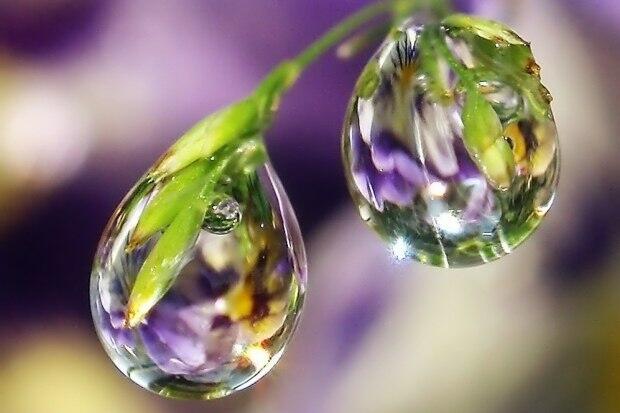 Душа солирует рассвету!