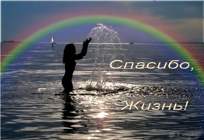 Спасибо, жизнь