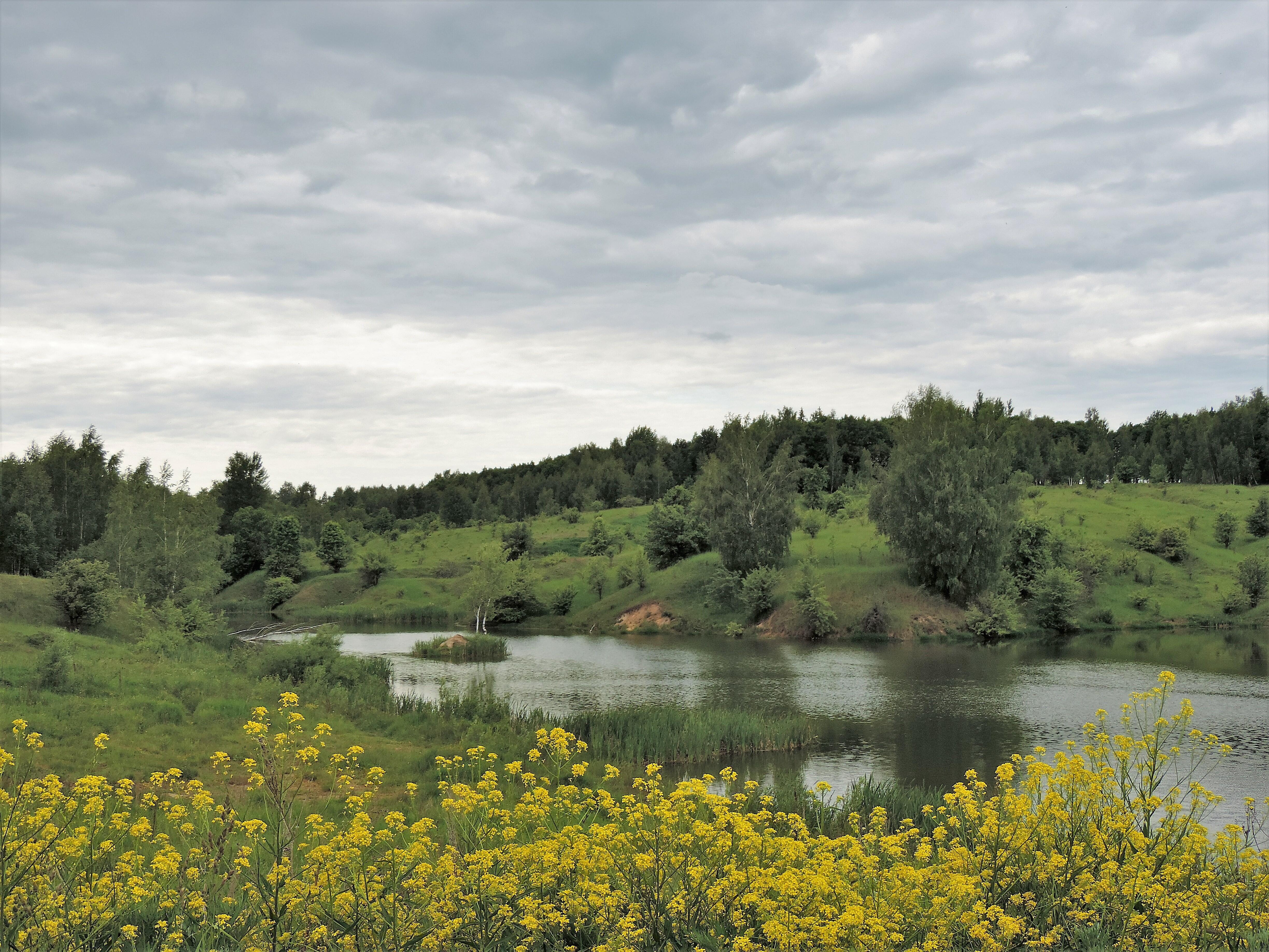 Фото-память нам оставит фото-оды от природы!