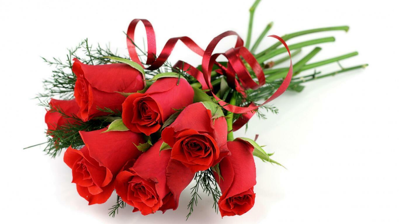 ДЕНЬ  РОЖДЕНИЯ  ПОЭМБУКА