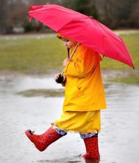 УТРОМ ПОСЛЕ ДОЖДЯ